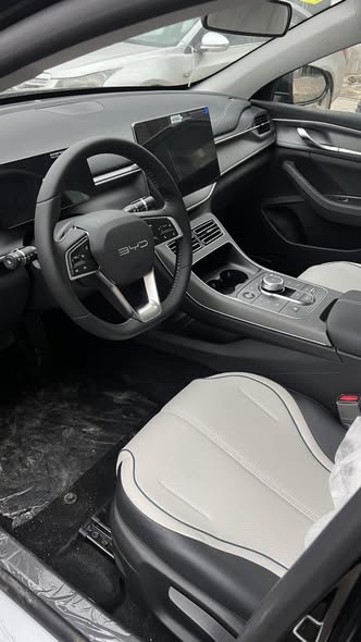 بي واي دي ديستروير 05 2025 - صورة 4