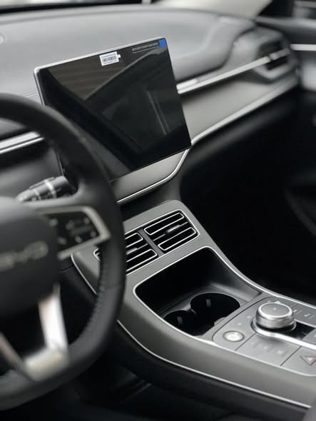 بي واي دي ديستروير 05 2025 - صورة 5