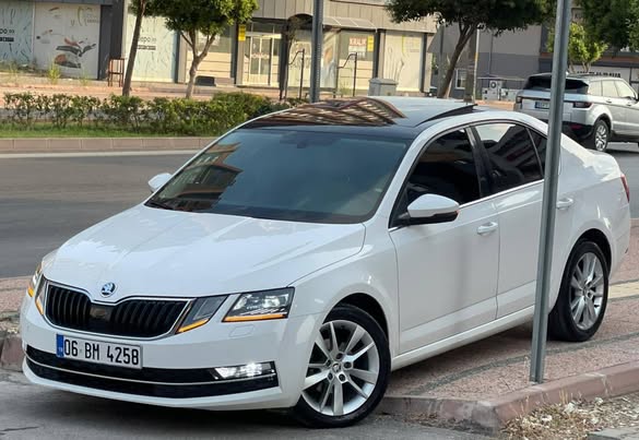 سكودا اوكتافيا 2017 - صورة 2