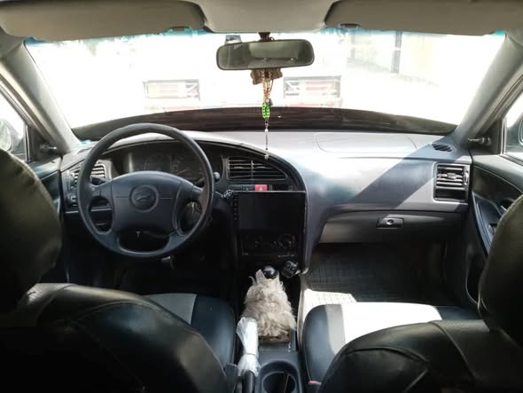 هيونداي النترا 2001 - صورة 2