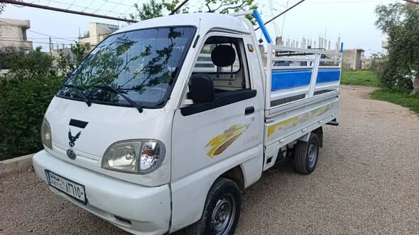 فاو بيك أب 2010 - صورة 3