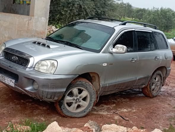 هيونداي سانتا في 2002 - صورة 5