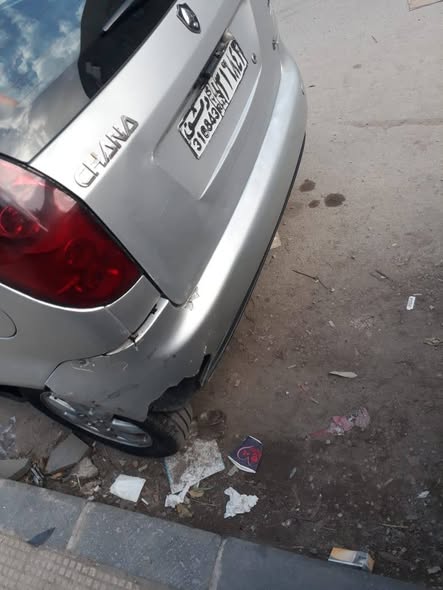 شانا بيني 2006 - صورة 3