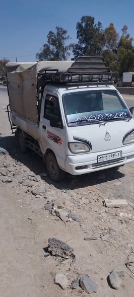 شانا قطة 2006 - صورة 1