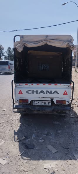 شانا قطة 2006 - صورة 2