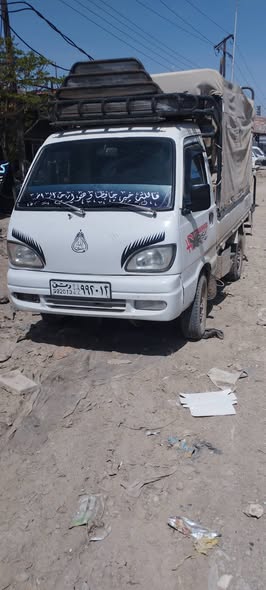 شانا قطة 2006 - صورة 3