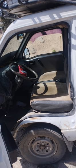 شانا قطة 2006 - صورة 4