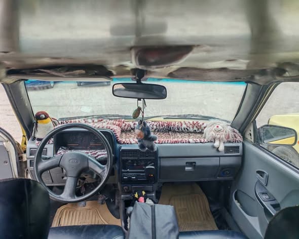 سايبا سابا 2004 - صورة 2