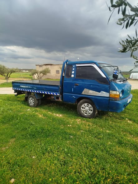 هيونداي بورتر 2001 - صورة 2