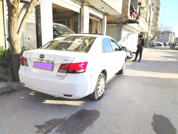 بي واي دي F3 2008 - صورة 2