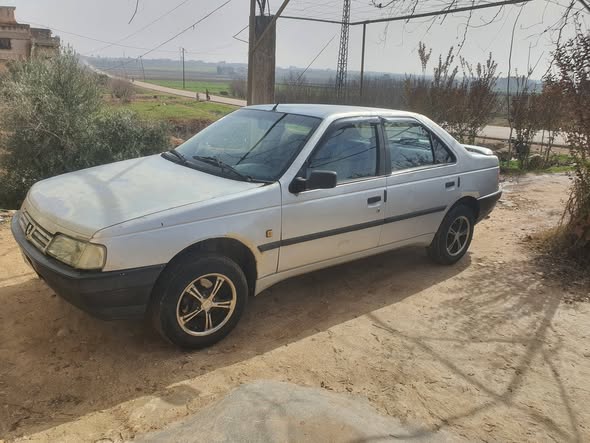 بيجو روى 2007 - صورة 1