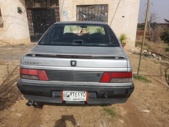 بيجو روى 2007 - صورة 5