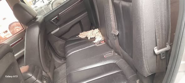 هيونداي سانتا في 2010 - صورة 2