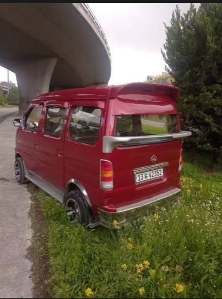 شانا دبرمان 2010 - صورة 4