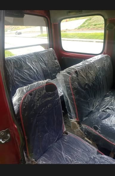 شانا دبرمان 2010 - صورة 5