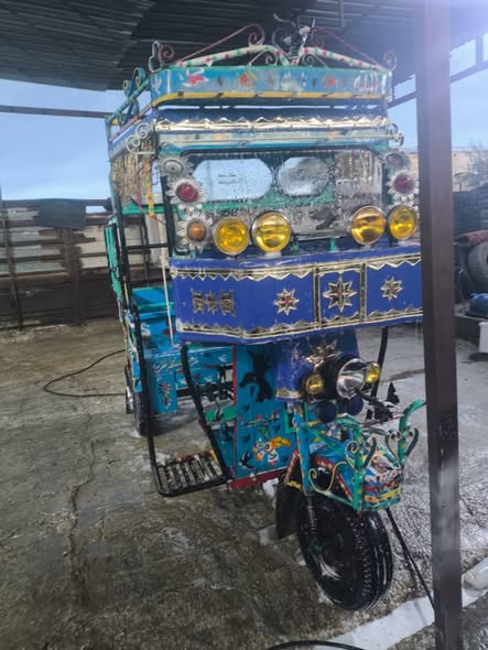 ساشس طرطورة 1986 - صورة 3