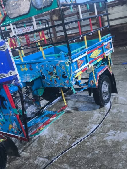 ساشس طرطورة 1986 - صورة 4