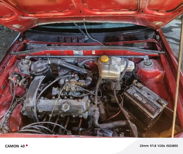 سايبا فلوريدا 2002 - صورة 5