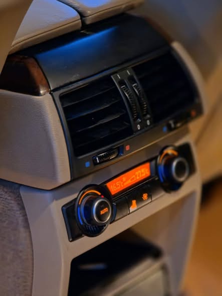 بي ام دبليو X6 2011 - صورة 5