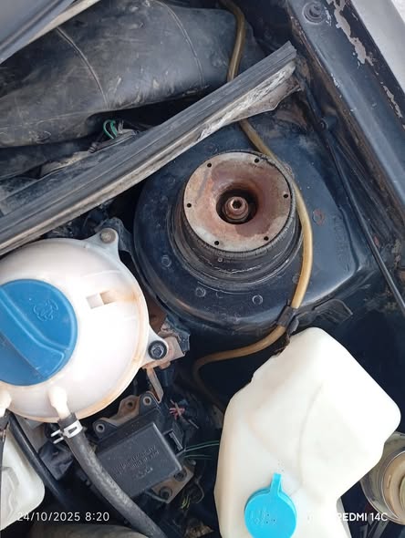 شيري اي 5 2009 - صورة 5