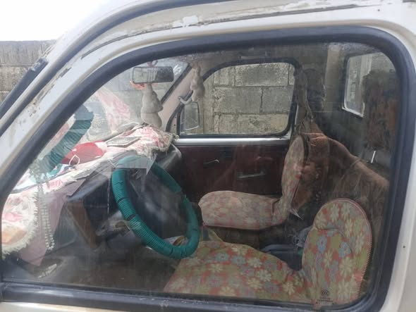 هافي ستار 2009 - صورة 3