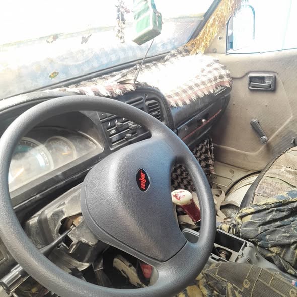 فاو بيك أب 2010 - صورة 3