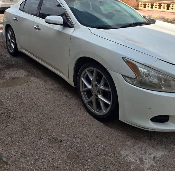 نيسان ماكسيما 2010 - صورة 2