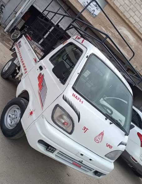 شانا قطة 2005 - صورة 3