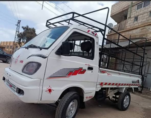 شانا قطة 2005 - صورة 4