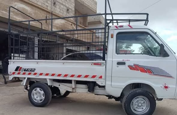 شانا قطة 2005 - صورة 5