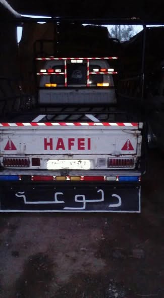 هافي سونغ 2009 - صورة 1