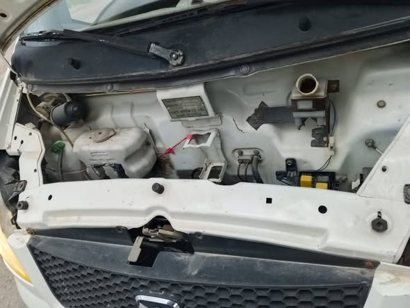 هافي ميني 2009 - صورة 5