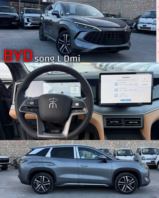 بي واي دي سونغ 2025