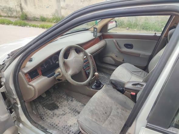 شام شام 2010 - صورة 2