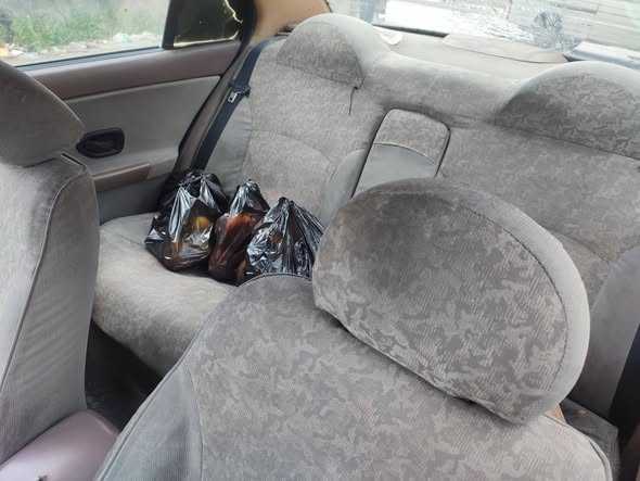 شام شام 2010 - صورة 3