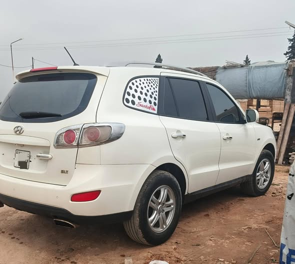 هيونداي سانتا في 2010 - صورة 2