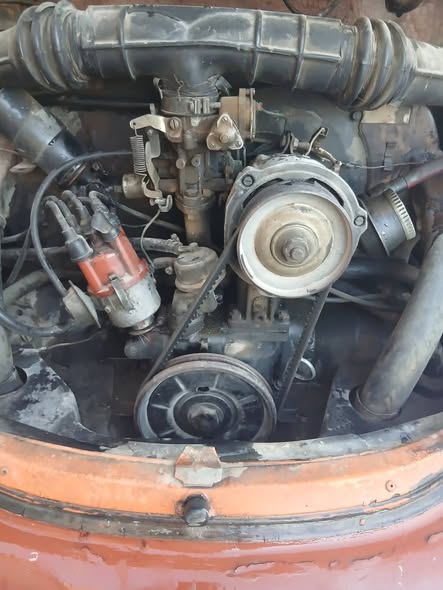 فوكس فاغن بيتل 1976 - صورة 3