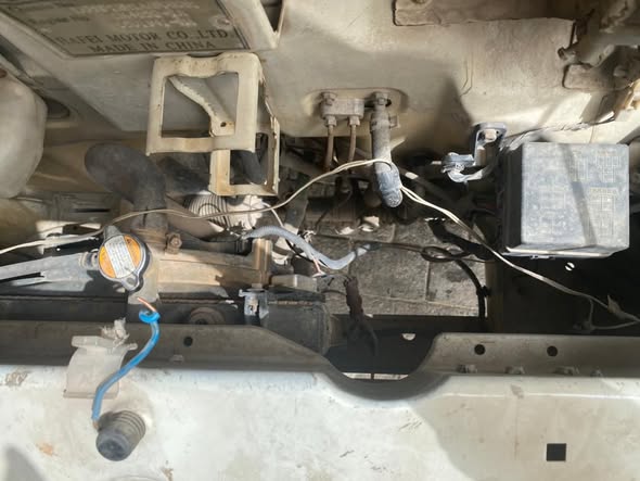 هافي ميني 2011 - صورة 5