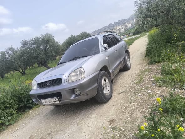 هيونداي سنتافيه 2003 - صورة 1