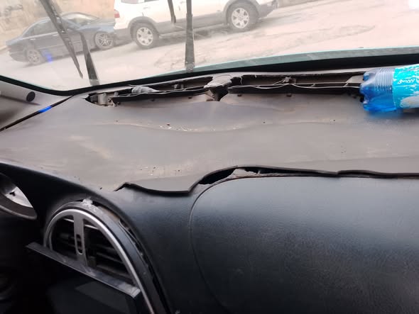 شانه بيني 2008 - صورة 3