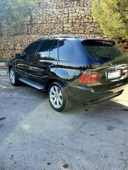 بي إم دبليو اكس 5 2006 - صورة 2