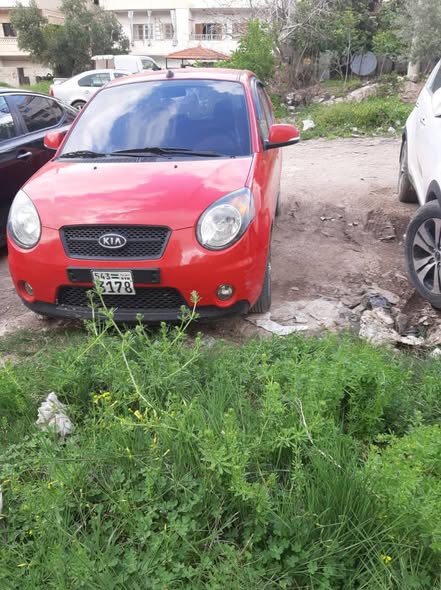 كيا مورننغ 2011 - صورة 2