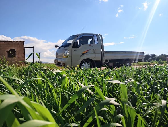 كيا بونغو 2005 - صورة 3