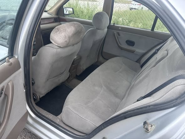 شام شام 2007 - صورة 5