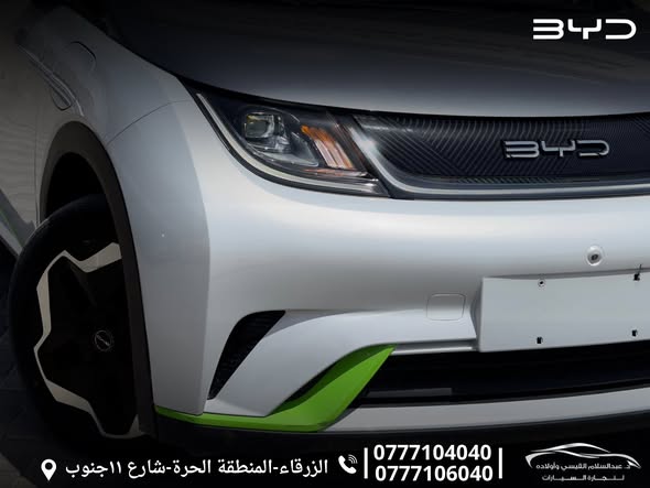 بي واي دي دولفين 2021 - صورة 2