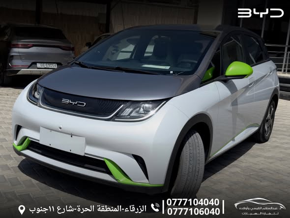 بي واي دي دولفين 2021 - صورة 3