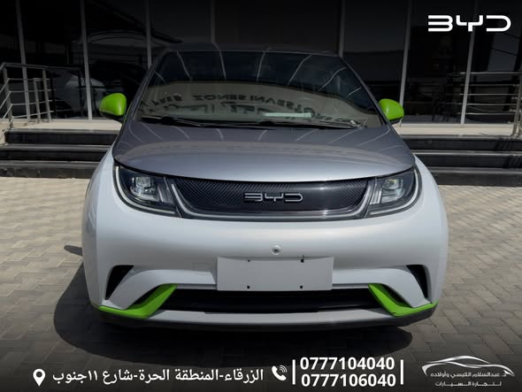 بي واي دي دولفين 2021 - صورة 4