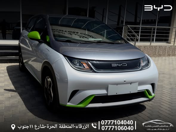 بي واي دي دولفين 2021 - صورة 5