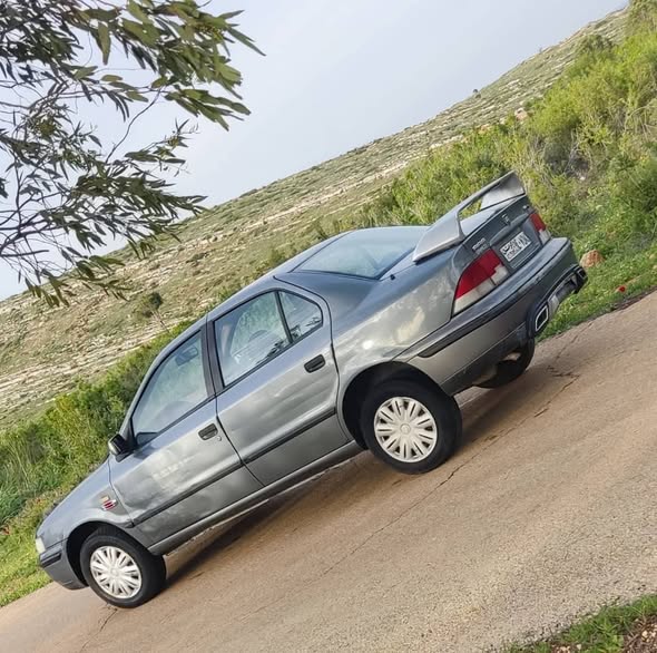 شام شام 2009 - صورة 2