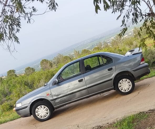 شام شام 2009 - صورة 3